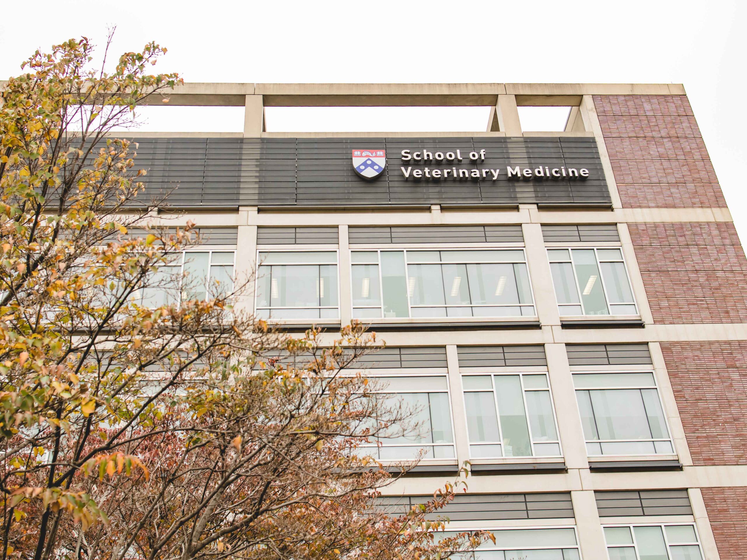 Looking up at the signage on the side of the building that reads Penn School of Veterinary Medicine